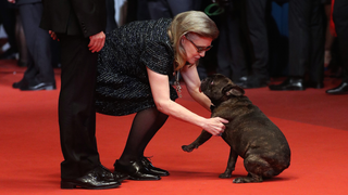 Gary the Dog Lookalike Makes an Appearance in <i>The Last Jedi </i>in Honor of Princess Carrie Fisher